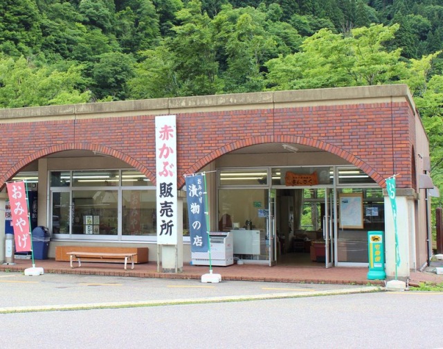 まんさく