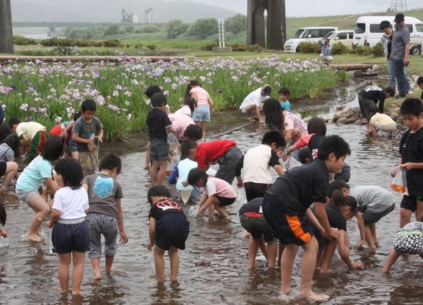 子供たちに大人気!金魚のつかみ取り