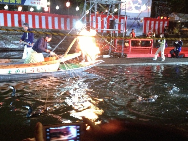 売比河鵜飼祭
