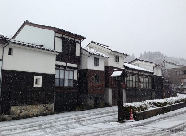 ガイドと散策、雪のこみち
