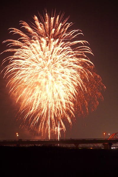 夏の夜空を染める花火