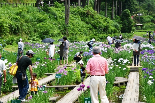木道を歩くのも楽しい