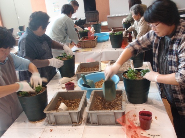 人気の寄せ植え体験