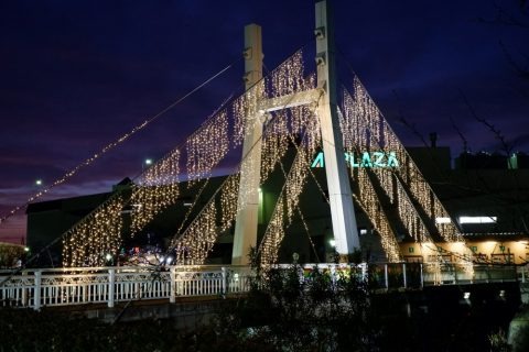 下条川の両岸がお勧めです