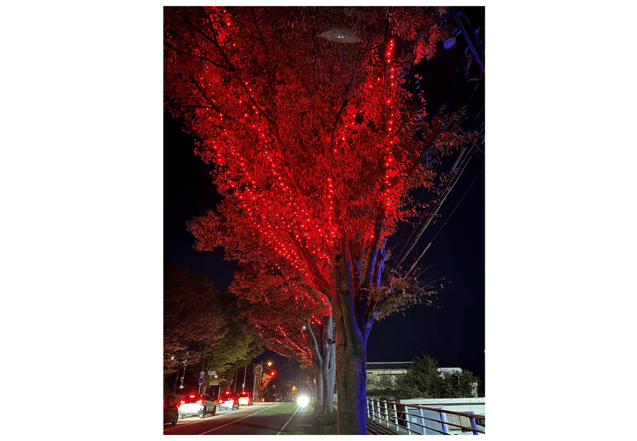 千成(せんなり)商店街