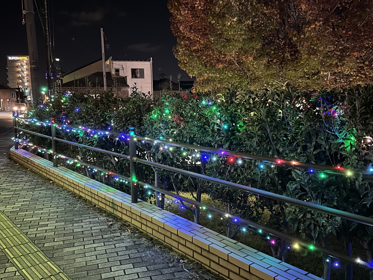 ポケットパーク前