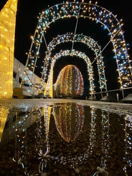 イルミネーションinひみイメージ画像