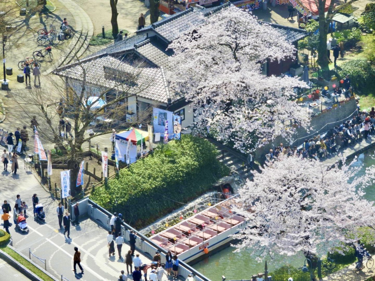 昔の松川茶屋前の様子（絵葉書より）…ここを神通川が流れ、「千歳ヶ浜」と呼ばれました。