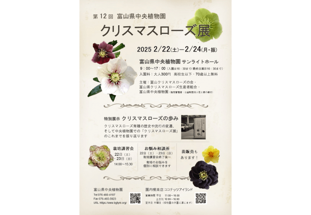 第12回クリスマスローズ展