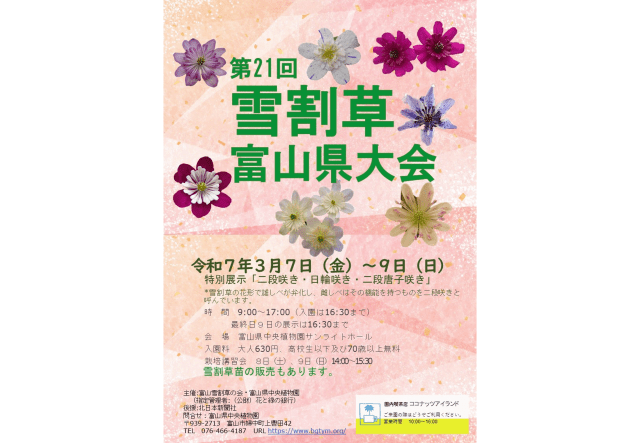 第21回雪割草富山県大会