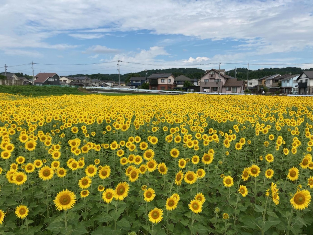 写真：「スローライフファーム」代表取締役の大場さん提供