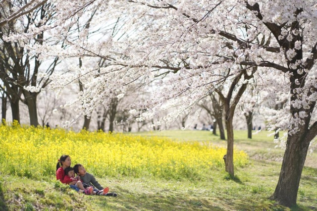 呉羽山公園・都市緑化植物園