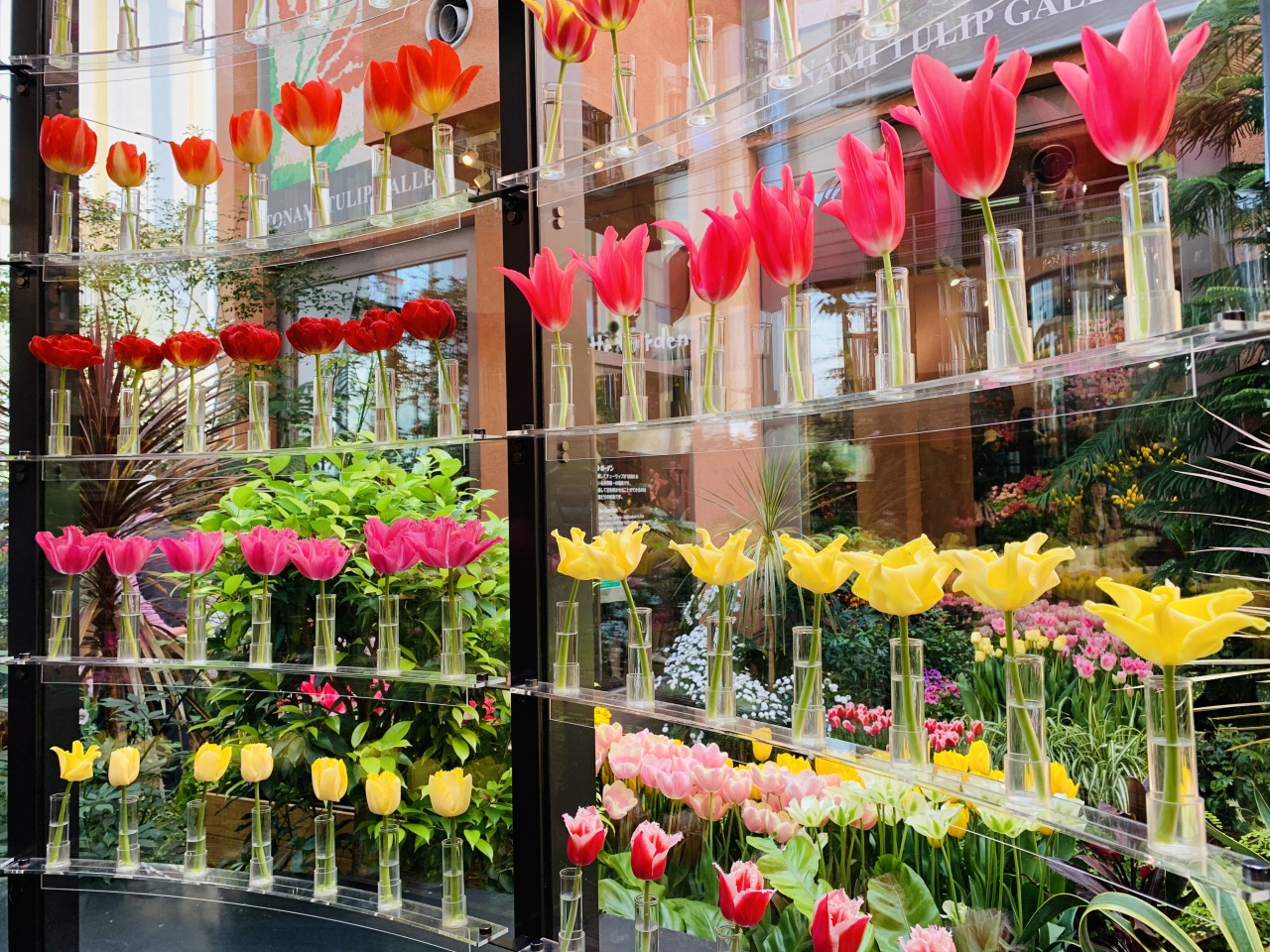 チューリップ四季彩館
