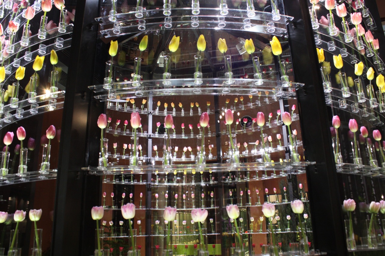 チューリップ四季彩館