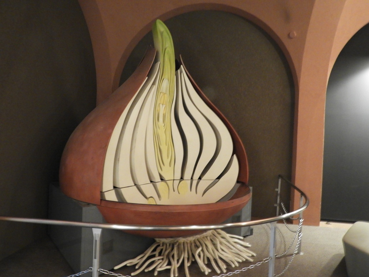 チューリップ四季彩館