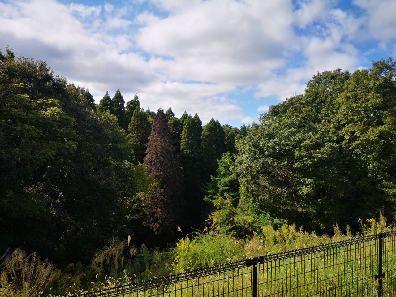 非日常に自然とのふれあい