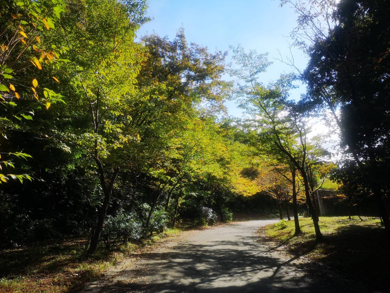 四季に合わせ表情を変える山々