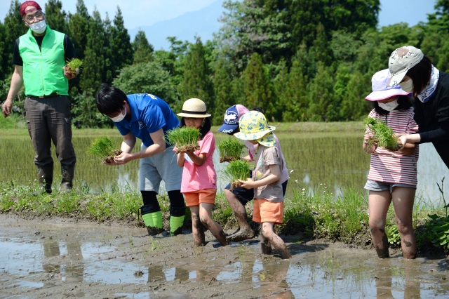 【2026年5月17日(日) 】志観寺の棚田で田植え体験   はじめての泥んこも、今日はちょっと楽しい !!
