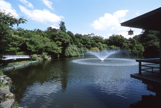 高岡城わくわくフェスティバル！