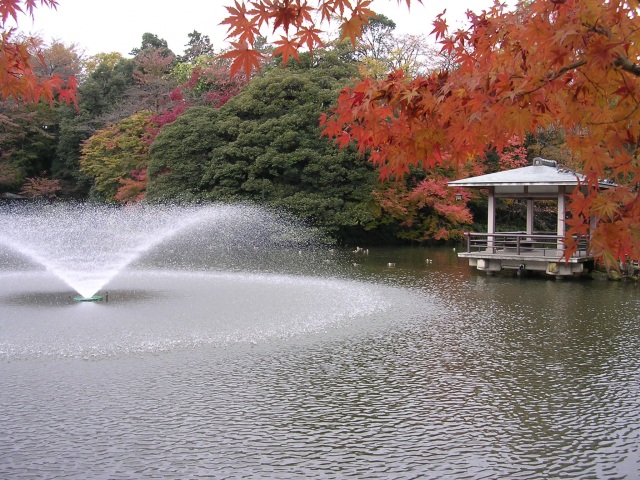 高岡古城公園 秋の紅葉ライトアップ&フォトコンテスト